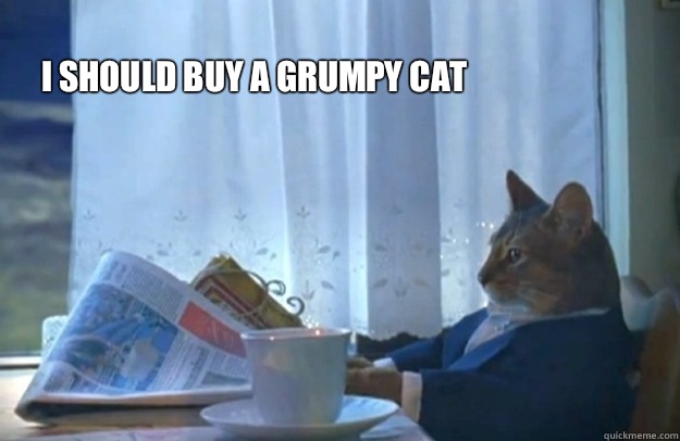 I should buy a Grumpy Cat  Sophisticated Cat
