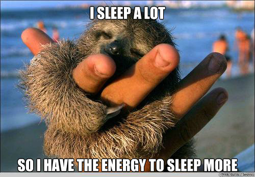 I SLEEP A LOT  SO I HAVE THE ENERGY TO SLEEP MORE   cute baby sloth