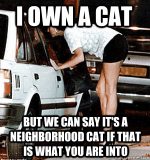 i own a cat But we can say it's a neighborhood cat if that is what you are into  Karma Whore