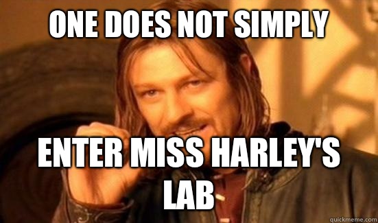 One does not simply Enter miss Harley's lab   Boromir