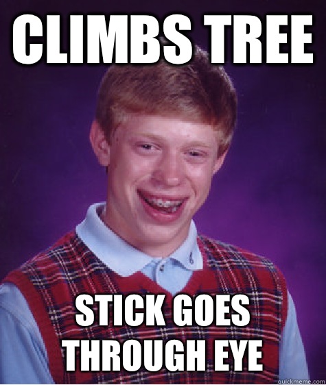 Climbs Tree Stick goes through eye  Bad Luck Brian