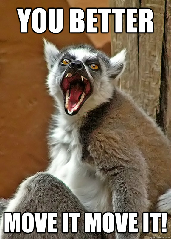 YOU BETTER MOVE IT MOVE IT! - YOU BETTER MOVE IT MOVE IT!  Angry Lemur