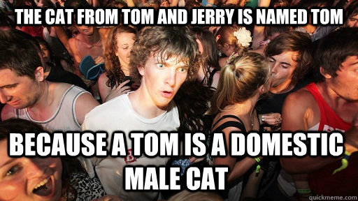 The cat from tom and Jerry is named tom Because a tom is a domestic male cat  Sudden Clarity Clarence