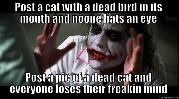 POST A CAT WITH A DEAD BIRD IN ITS MOUTH AND NOONE BATS AN EYE POST A PIC OF A DEAD CAT AND EVERYONE LOSES THEIR FREAKIN MIND Joker Mind Loss