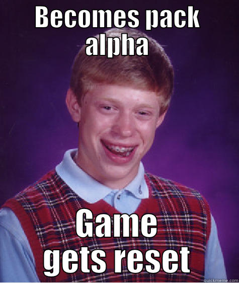 BECOMES PACK ALPHA GAME GETS RESET Bad Luck Brian