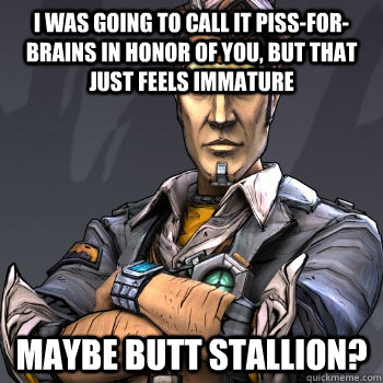I was going to call it piss-for-brains in honor of you, but that just feels immature maybe butt stallion?  Handsome Jack