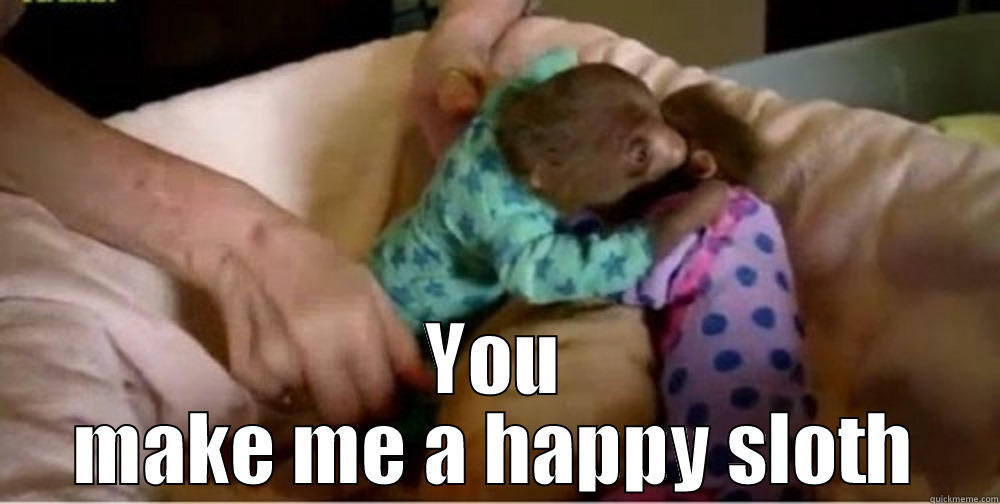  YOU MAKE ME A HAPPY SLOTH Misc