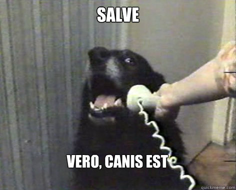 SALVE VERO, CANIS EST  yes this is dog