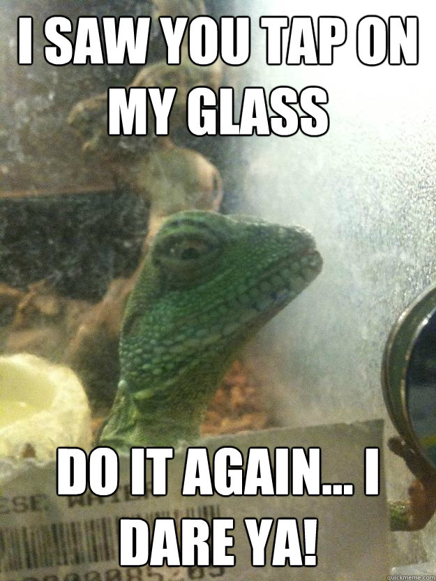 i saw You tap on my glass Do it again... I dare ya!  Leery Lizard