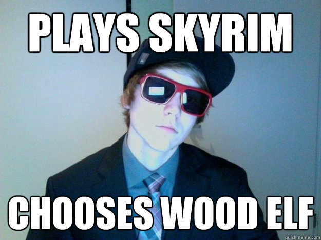 Plays Skyrim Chooses Wood Elf - Plays Skyrim Chooses Wood Elf  Misc
