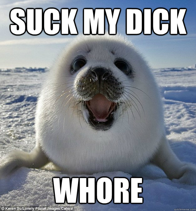 SUCK MY DICK WHORE  Easily Pleased Seal