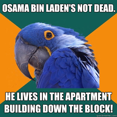 Osama bin Laden's not dead. He lives in the apartment building down the block!  Paranoid Parrot