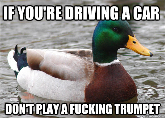 If you're driving a car don't play a fucking trumpet   Actual Advice Mallard
