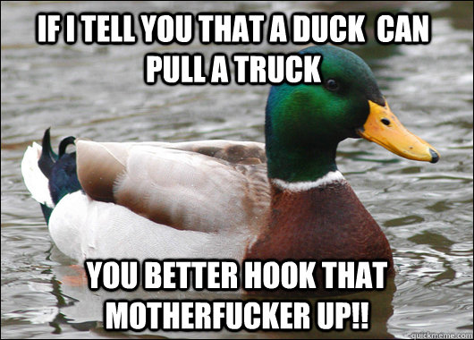If I tell you that a duck  can pull a truck You better hook that motherfucker up!!  Actual Advice Mallard