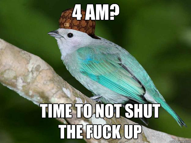 4 am? Time to not shut the fuck up - 4 am? Time to not shut the fuck up  Misc