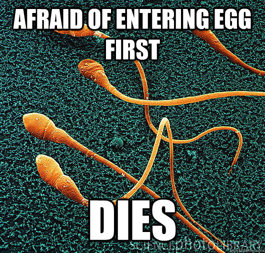 afraid of entering egg first dies - afraid of entering egg first dies  Misc
