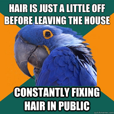 hair is just a little off before leaving the house constantly fixing hair in public  Paranoid Parrot