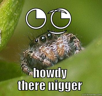 ◔͜͡◔ HOWDY THERE NIGGER Misunderstood Spider