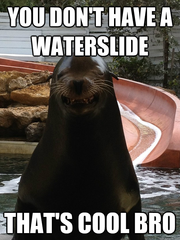 You don't have a waterslide That's cool bro - You don't have a waterslide That's cool bro  Bragging Sea Lion