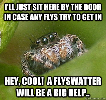 I'll just sit here by the door in case any flys try to get in Hey, cool!  A flyswatter will be a big help.. - I'll just sit here by the door in case any flys try to get in Hey, cool!  A flyswatter will be a big help..  Misunderstood Spider