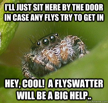 I'll just sit here by the door in case any flys try to get in Hey, cool!  A flyswatter will be a big help..  Misunderstood Spider