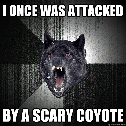 I once was attacked by a scary Coyote  Insanity Wolf
