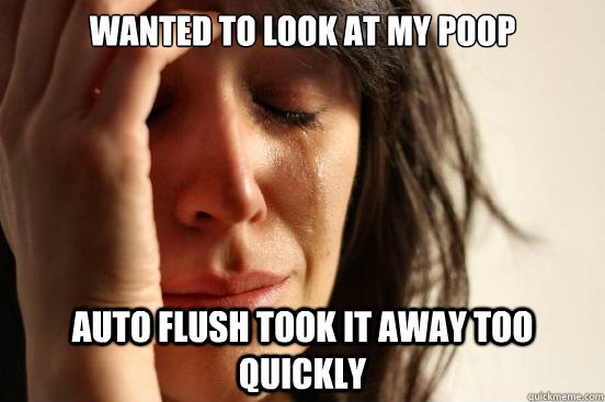 Wanted to look at my poop Auto flush took it away too quickly   First World Problems