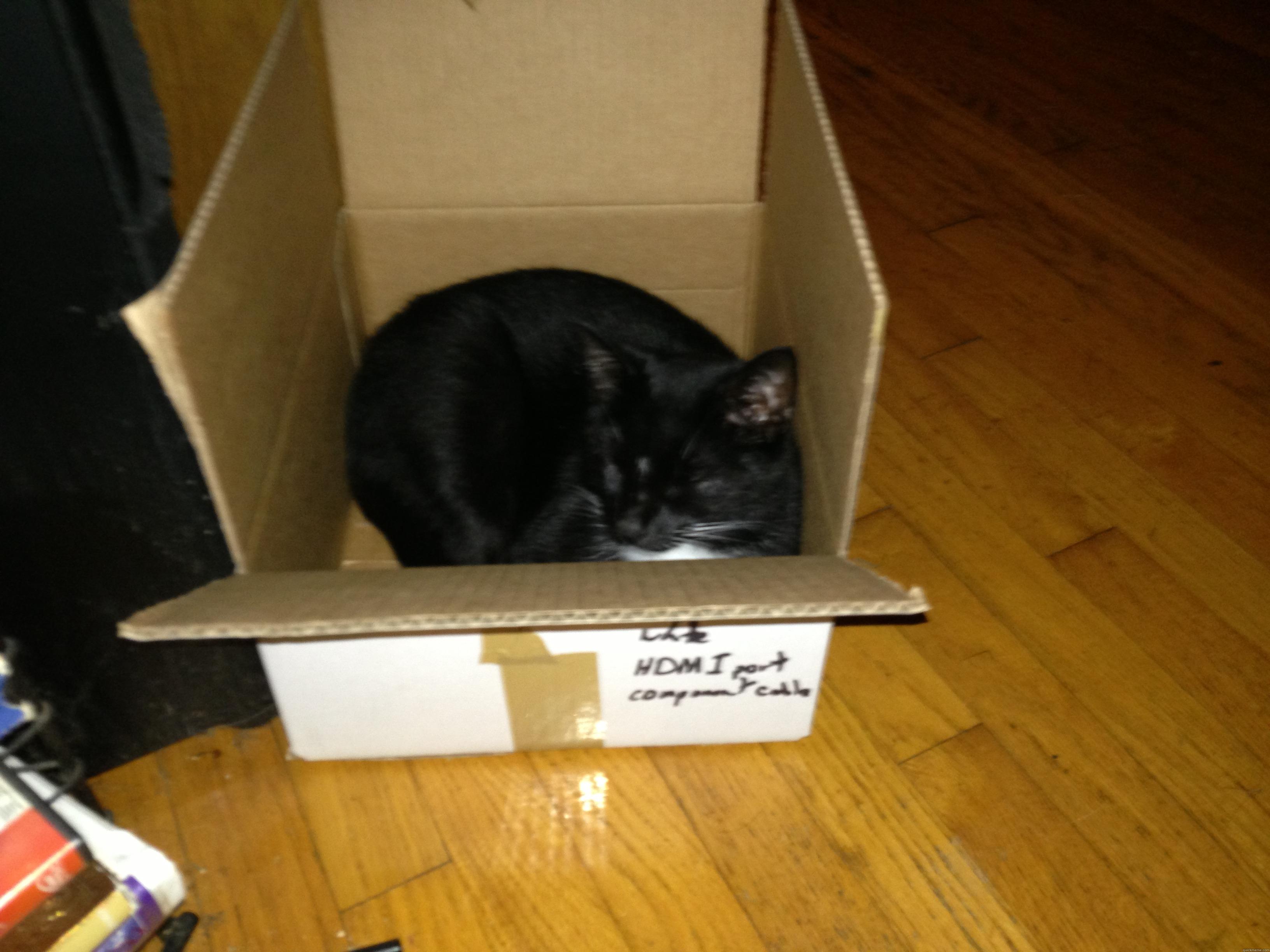IT'S A... CAT IN A BOX -   Misc