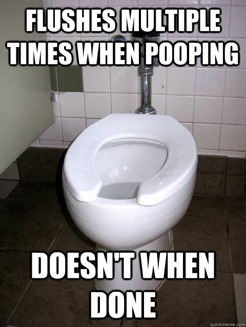 Flushes multiple times when pooping Doesn't when done  - Flushes multiple times when pooping Doesn't when done   Misc