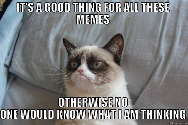 IT'S A GOOD THING FOR ALL THESE MEMES OTHERWISE NO ONE WOULD KNOW WHAT I AM THINKING Grumpy Cat