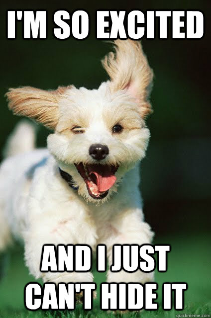 I m So Excited And I Just Can t Hide It Excited Puppy Quickmeme