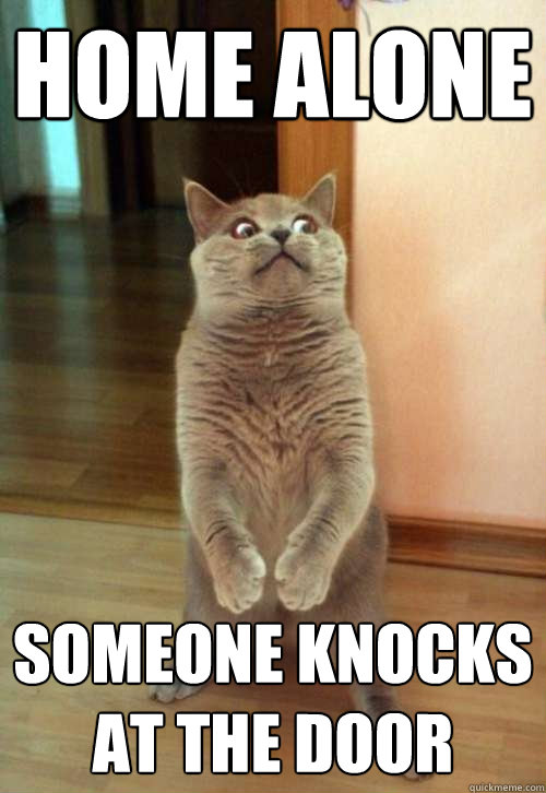 Home alone Someone knocks at the door - Home alone Someone knocks at the door  Horrorcat