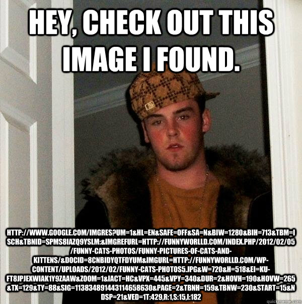 Hey, check out this image I found. http://www.google.com/imgres?um=1&hl=en&safe=off&sa=N&biw=1280&bih=713&tbm=isch&tbnid=spMS8iaZq9YsLM:&imgrefurl=http://funnyworlld.com/index.php/2012/02/05/funny-cats-photos/funny-pictures-of-cats-and-kittens/&docid=8CNB  Scumbag Steve