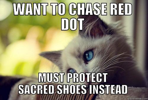 The Red Dot Dilemma - WANT TO CHASE RED DOT MUST PROTECT SACRED SHOES INSTEAD First World Problems Cat