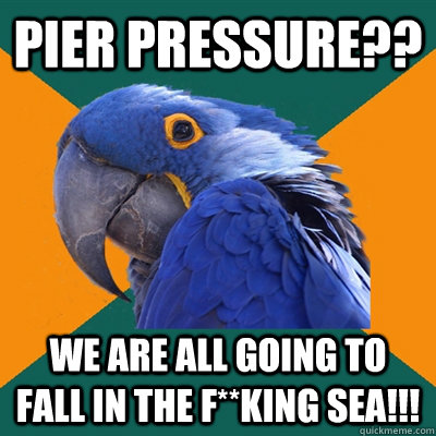 Pier Pressure?? WE ARE ALL GOING TO FALL IN THE F**KING SEA!!!  Paranoid Parrot