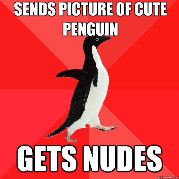 Sends Picture Of cute penguin  Gets nudes - Sends Picture Of cute penguin  Gets nudes  Socially Awesome Penguin