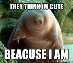 They think im cute Beacuse i am  The cute water bear