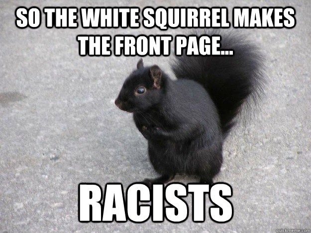 So the white squirrel makes the front page... Racists - So the white squirrel makes the front page... Racists  Misc