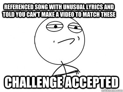 Referenced Song With Unusual Lyrics and Told You Can't Make A Video to Match These Challenge Accepted  Challenge Accepted