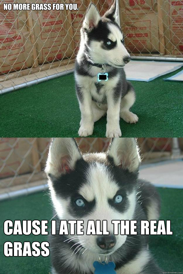 No more grass for you.  cause i ate all the real grass  Insanity puppy