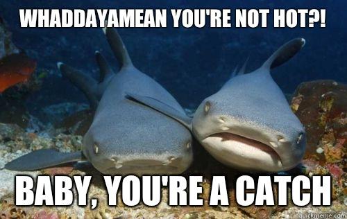 Whaddayamean you're not hot?! Baby, you're a catch  Compassionate Shark Friend