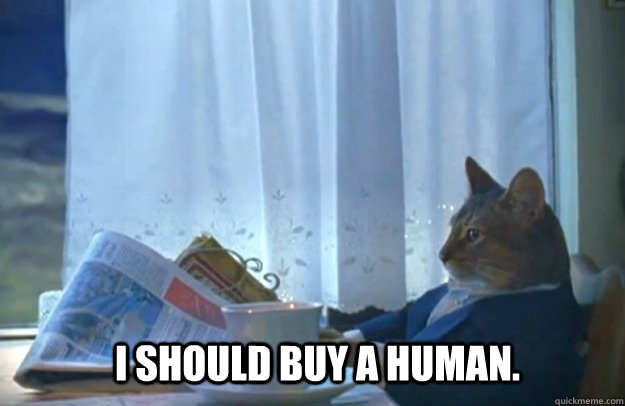 I should buy a human.  Sophisticated Cat
