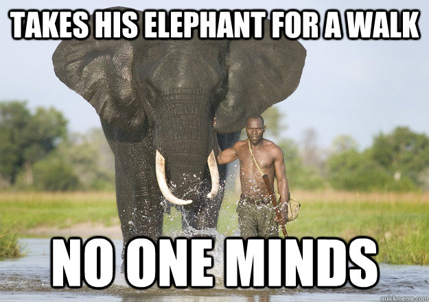 Takes his elephant for a walk no one minds - Takes his elephant for a walk no one minds  Ridiculously Photogenic African