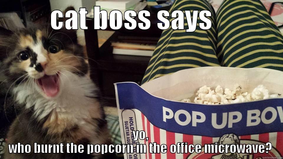 CAT BOSS SAYS    YO, WHO BURNT THE POPCORN IN THE OFFICE MICROWAVE? Misc