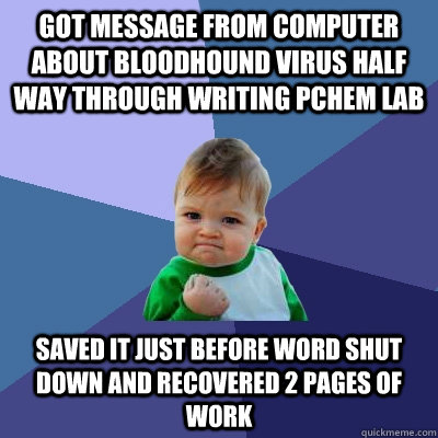 Got message from computer about Bloodhound virus half way through writing Pchem lab Saved it just before word shut down and recovered 2 pages of work  Success Kid