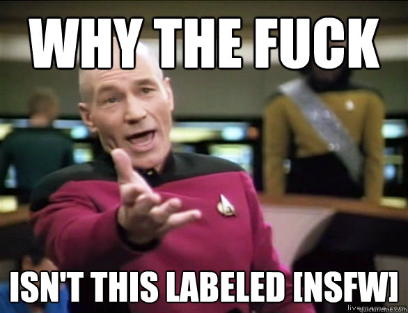 why the fuck Isn't this labeled [nsfw]  Annoyed Picard HD