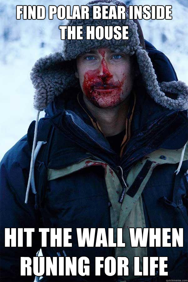 Find polar bear inside the house hit the wall when runing for life  Bear Grylls