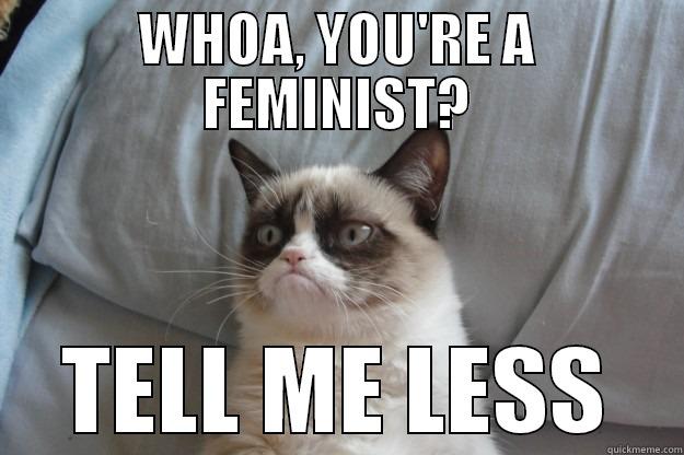 WHOA, YOU'RE A FEMINIST? TELL ME LESS Grumpy Cat