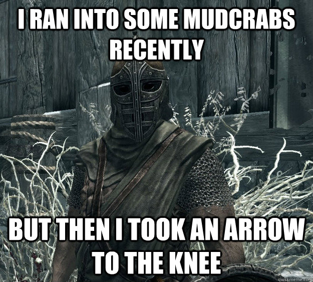 I ran into some mudcrabs recently But then I took an arrow to the knee - I ran into some mudcrabs recently But then I took an arrow to the knee  Skyrim Guard