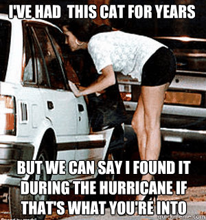 I've had  this cat for years But we can say I found it during the hurricane if that's what you're into  Karma Whore
